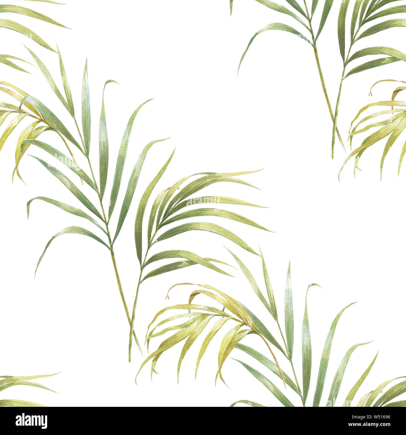 Illustration à l'aquarelle de feuilles de cocotiers, motif transparent sur fond blanc Banque D'Images