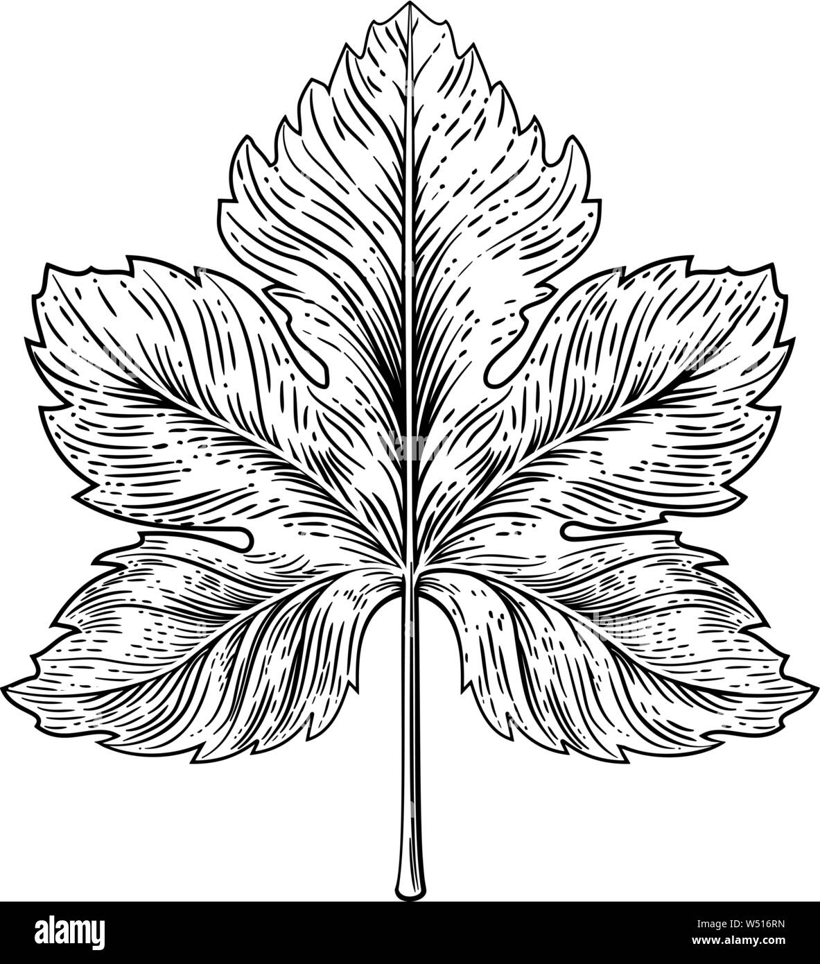 Grape Leaf Élément Design gravure sur bois Gravure Illustration de Vecteur