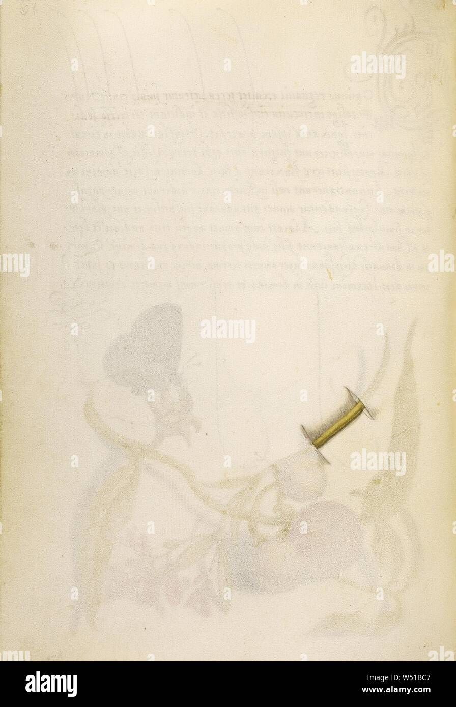 Trompe-l'Oeil de souches Polygale incarnat, Joris Hoefnagel (/ hongrois, 1542 - 1600), Vienne, Autriche, 1561 - 1562, 1591 - 1596 ajouter l'éclairage, d'aquarelles, d'or et d'argent, peinture et encre sur parchemin, feuilles : 16,6 × 12,4 cm (6 9/16 x 4 7/8 po Banque D'Images