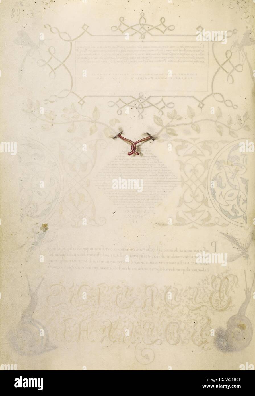 Entremêlés de trompe-l'Œil des tiges de thym, basilic Joris Hoefnagel (/ hongrois, 1542 - 1600), Vienne, Autriche, 1561 - 1562, 1591 - 1596 ajouter l'éclairage, d'aquarelles, d'or et d'argent, peinture et encre sur parchemin, feuille : 16,6 x 12,4 cm (6 9/16 x 4 7/8 po Banque D'Images