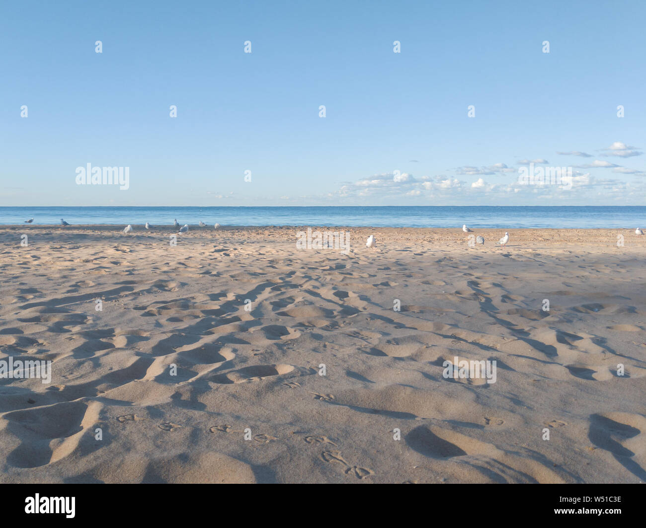 Manly Beach, Sydney, ciel bleu clair, les goélands et les traces de pas dans le sable Banque D'Images