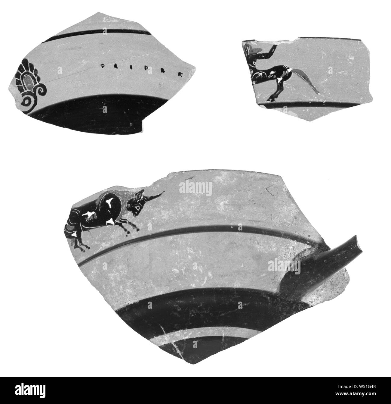 Grenier Black-Figure Coupe à lèvre Fragment, Inconnu, Athènes, Grèce, 550 - 530 avant J.-C., terre cuite, 4,2 × 6,2 cm (1 5/8 x 2 7/16 in Banque D'Images