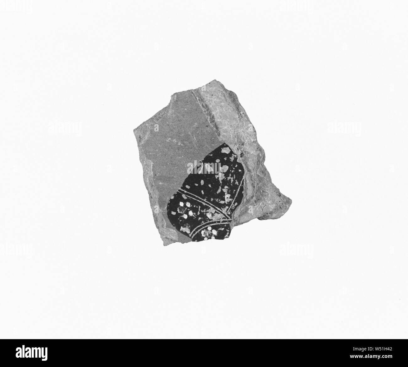 Attic Black-Figure Lekythos Fragment, Inconnu, Athènes, Grèce, environ 520 - 510 avant J.-C., terre cuite, 3,9 × 3,8 cm (1 9/16 x 1 1/2 in Banque D'Images