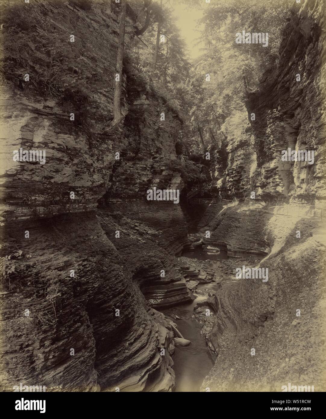 Watkins Glen, fronçant les falaises., William H. Rau (américain, 1855 - 1920), n.d., à l'albumine argentique, 43,5 x 51,8 cm (17 1/8 x 20 3/8 dans Banque D'Images