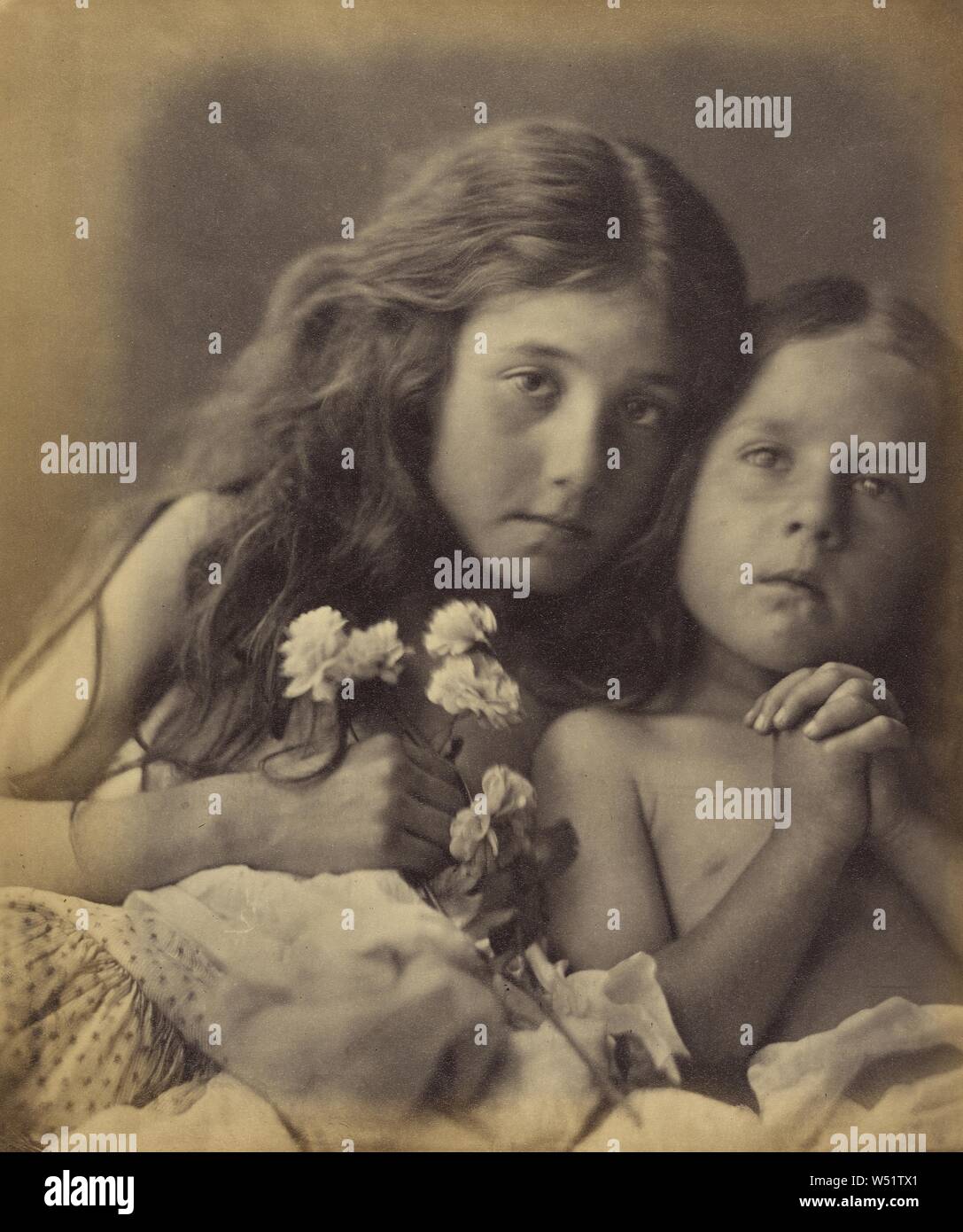 Les roses rouges et blanches, Julia Margaret Cameron (britannique, né en Inde, 1815 - 1879), l'eau douce, l'île de Wight, en Angleterre, en 1865, à l'albumine argentique, 40,1 × 21,1 cm (15 13/16 x 8 5/16 in Banque D'Images