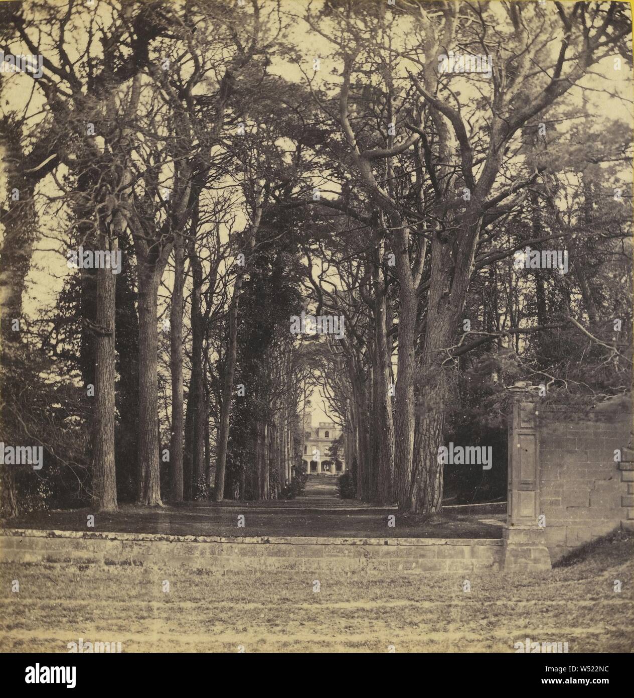 Guy's Cliff - l'Avenue, de la route. Le Warwickshire, Angleterre, Francis Bedford (anglais, 1815/1816 - 1894), à propos de 1867-1868, à l'albumine argentique Banque D'Images