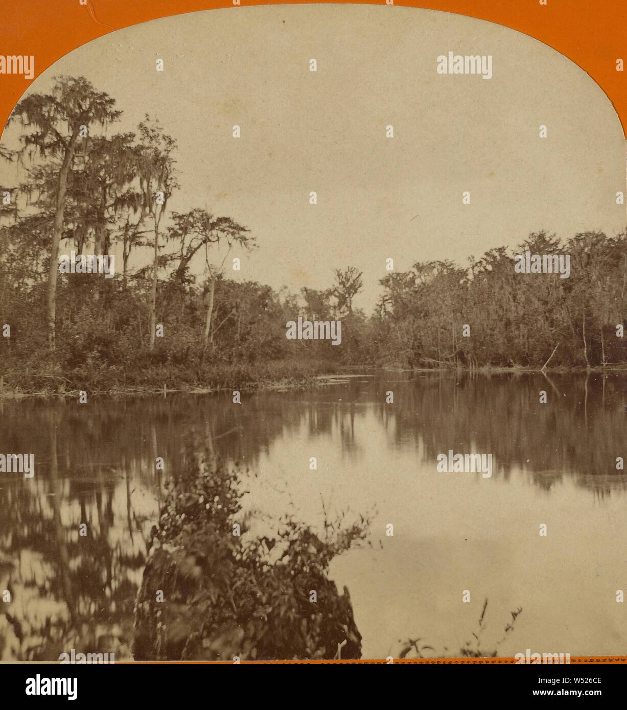 Silver Spring, rivière Ocklawaha., W. Cushing (États-Unis, Actif 1870 - 1880), 1875-1885, à l'albumine argentique Banque D'Images