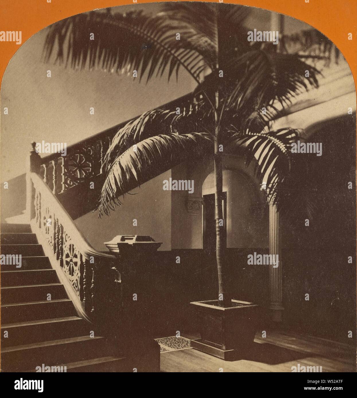 Intérieur de l'escalier avec palmier à la base, Wellesley College, Thomas Lewis (Américain, mort en 1901), années 1870, à l'albumine argentique Banque D'Images