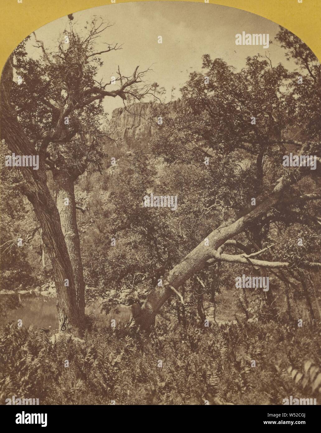 Vue obstruée de Apache Lake, Sierra Blanca Gamme., Timothy H. O'Sullivan (américain, 1840 - 1882), 1873, à l'albumine argentique Banque D'Images