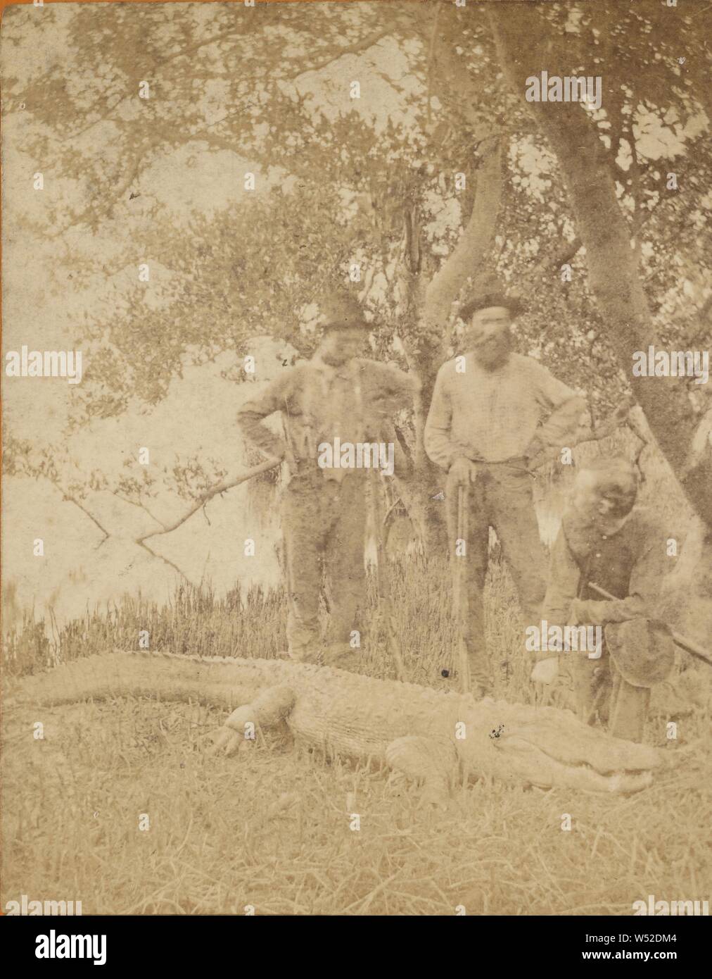 Alligators et les autochtones, David J. Ryan (Américain, né en 1837), vers 1870, à l'albumine argentique Banque D'Images