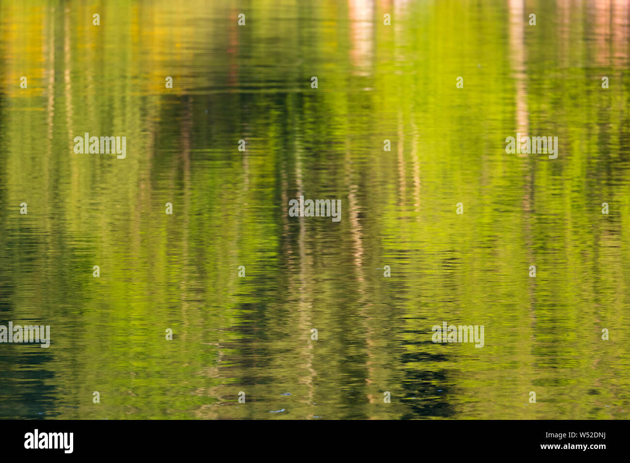 Les couleurs des arbres se reflétant dans l'eau de Brucher Talsperre Banque D'Images