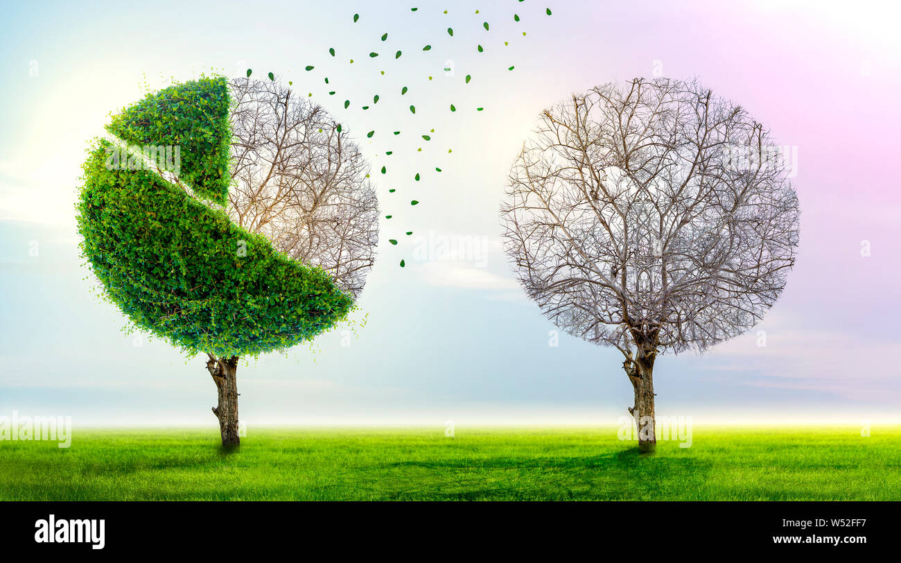 Perte de part de marché le graphique est de plus en plus d'arbres verts et tombe dans un concept d'entreprise de perdre de l'argent, symbole de l'investissement économique. Banque D'Images