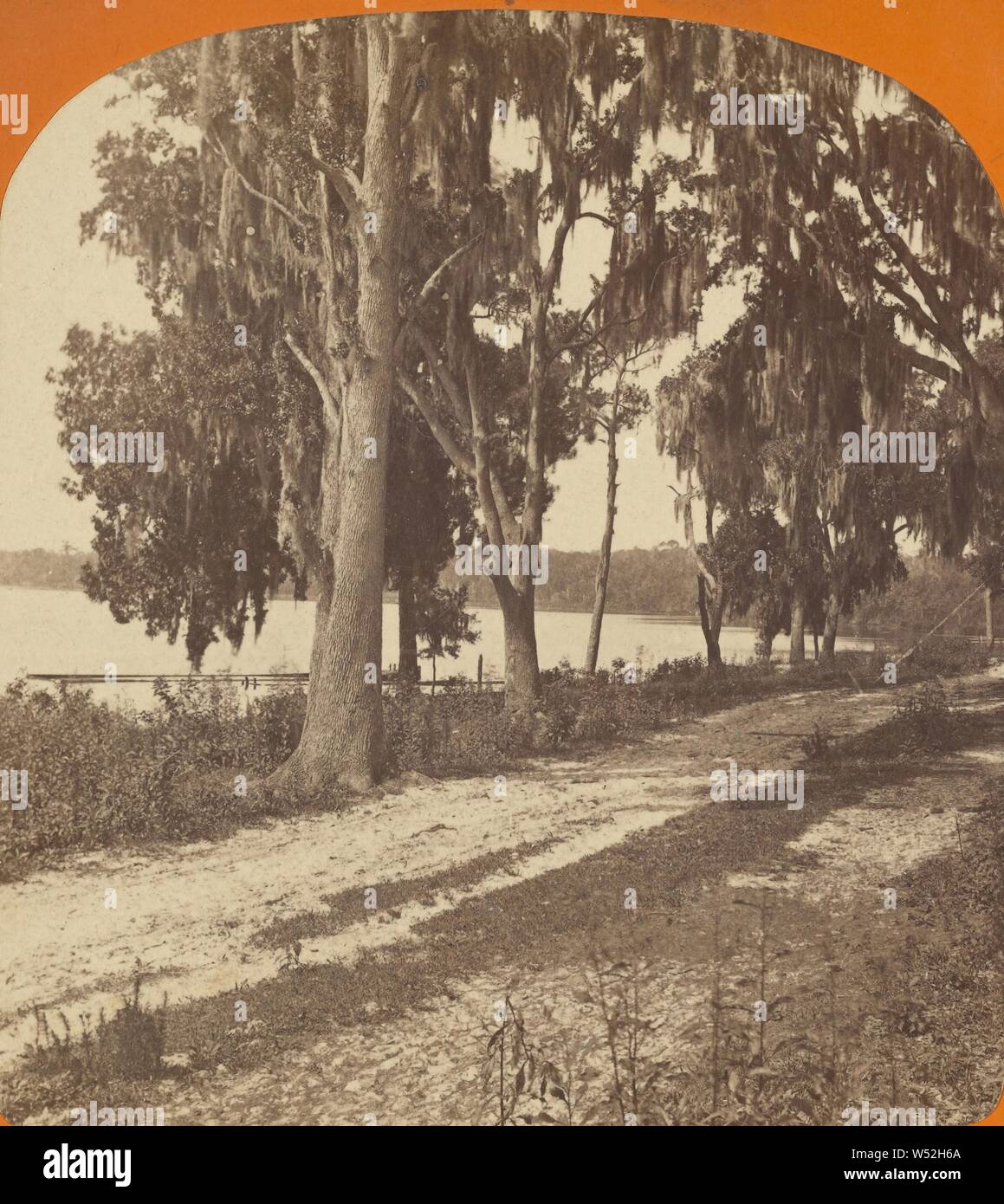 Saint John's River, Palatka., A.D. White (États-Unis, actif 1870), années 1870, à l'albumine argentique Banque D'Images