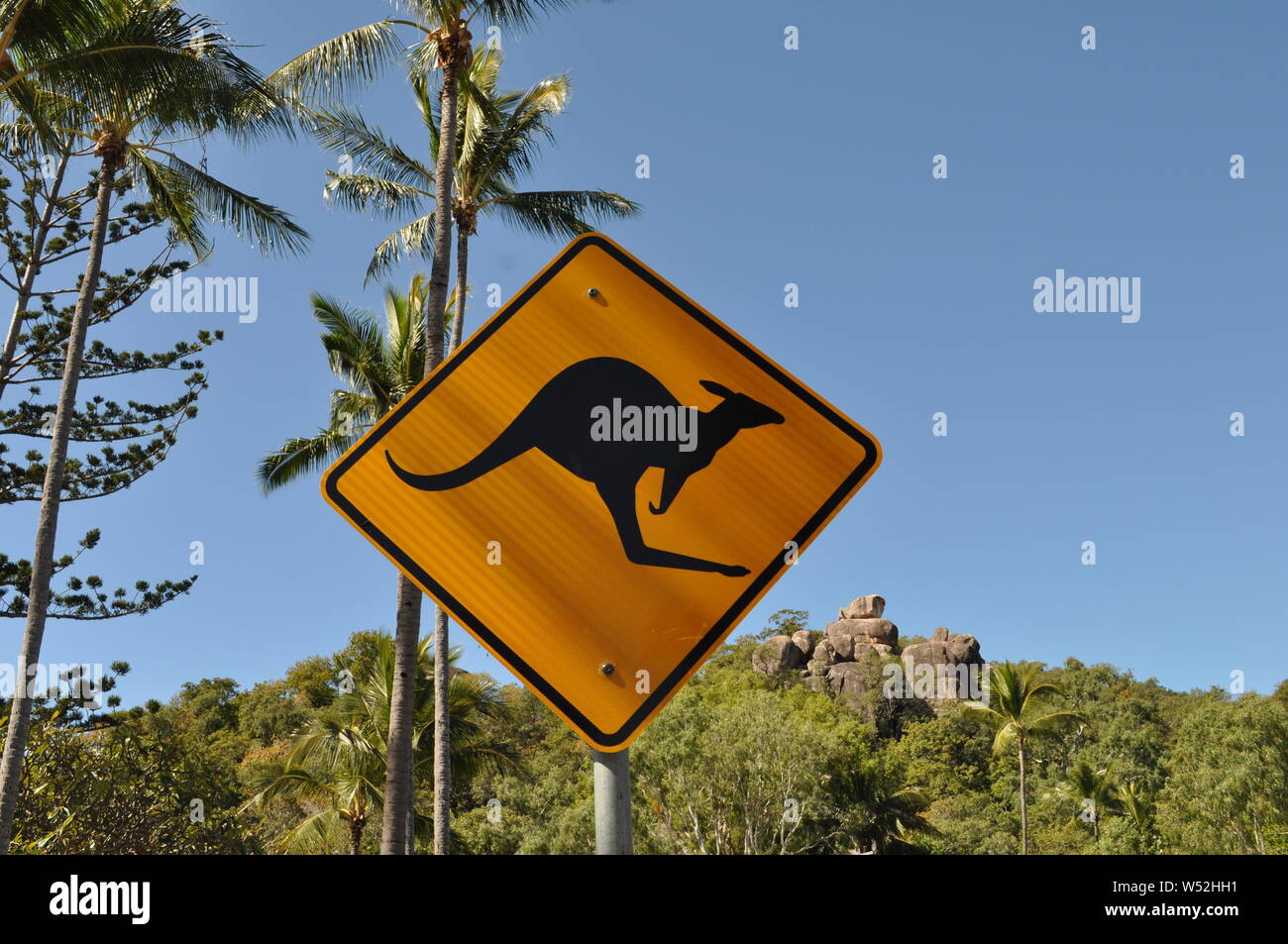 Kangaroo road sign, Magnetic Island, Queensland, Australie Banque D'Images