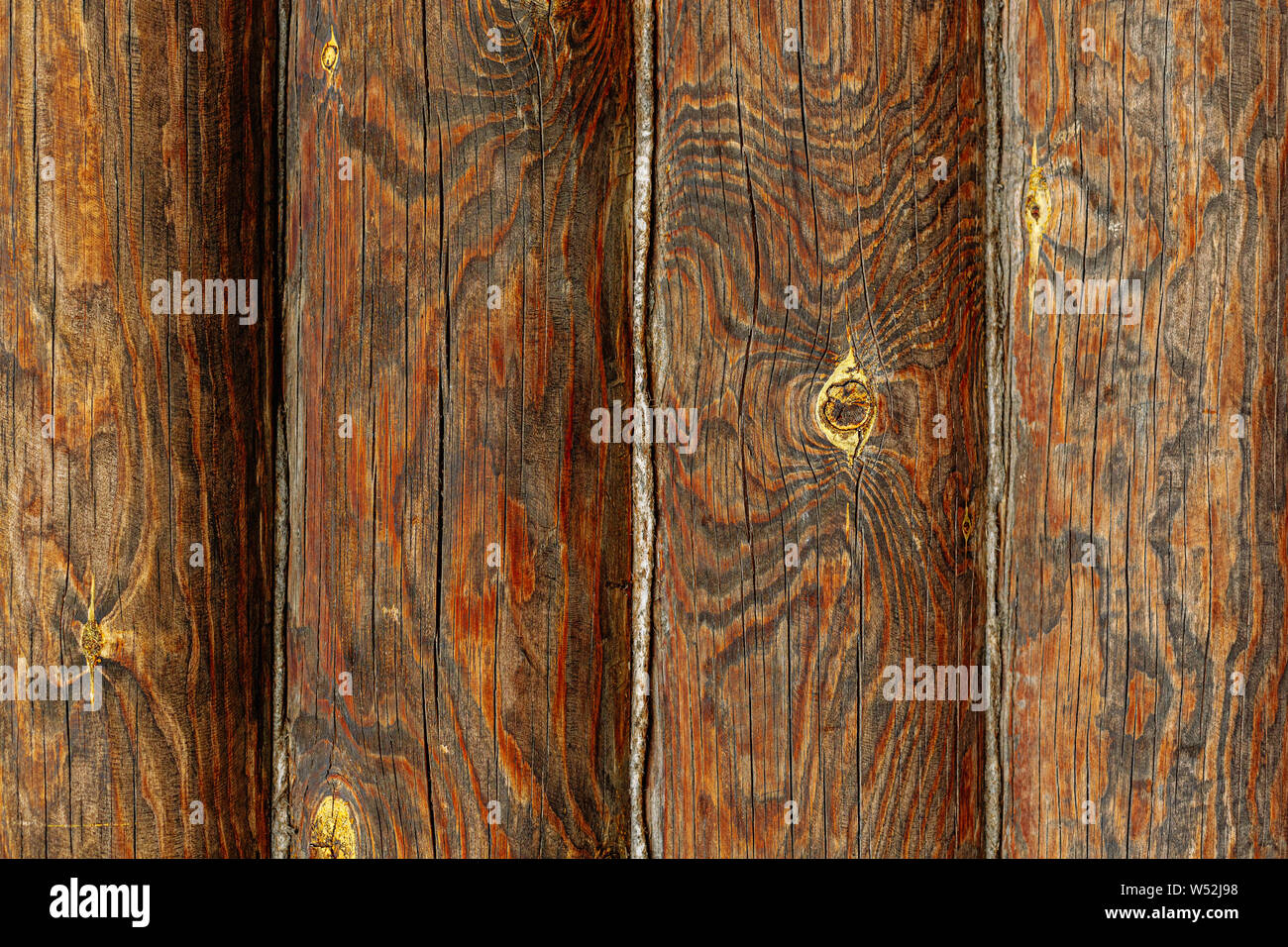 La texture en bois, modèle en bois naturel. Banque D'Images