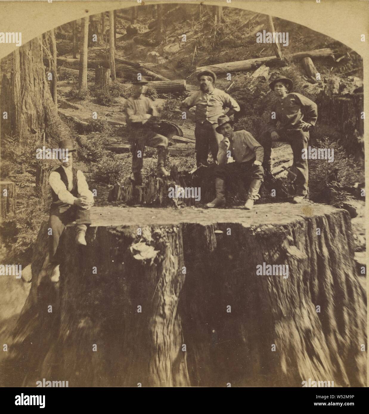 Stump, 12 pieds 6 pouces, Jarvis., pas de bouilloire, cuisine américaine, vers 1865, à l'albumine argentique Banque D'Images