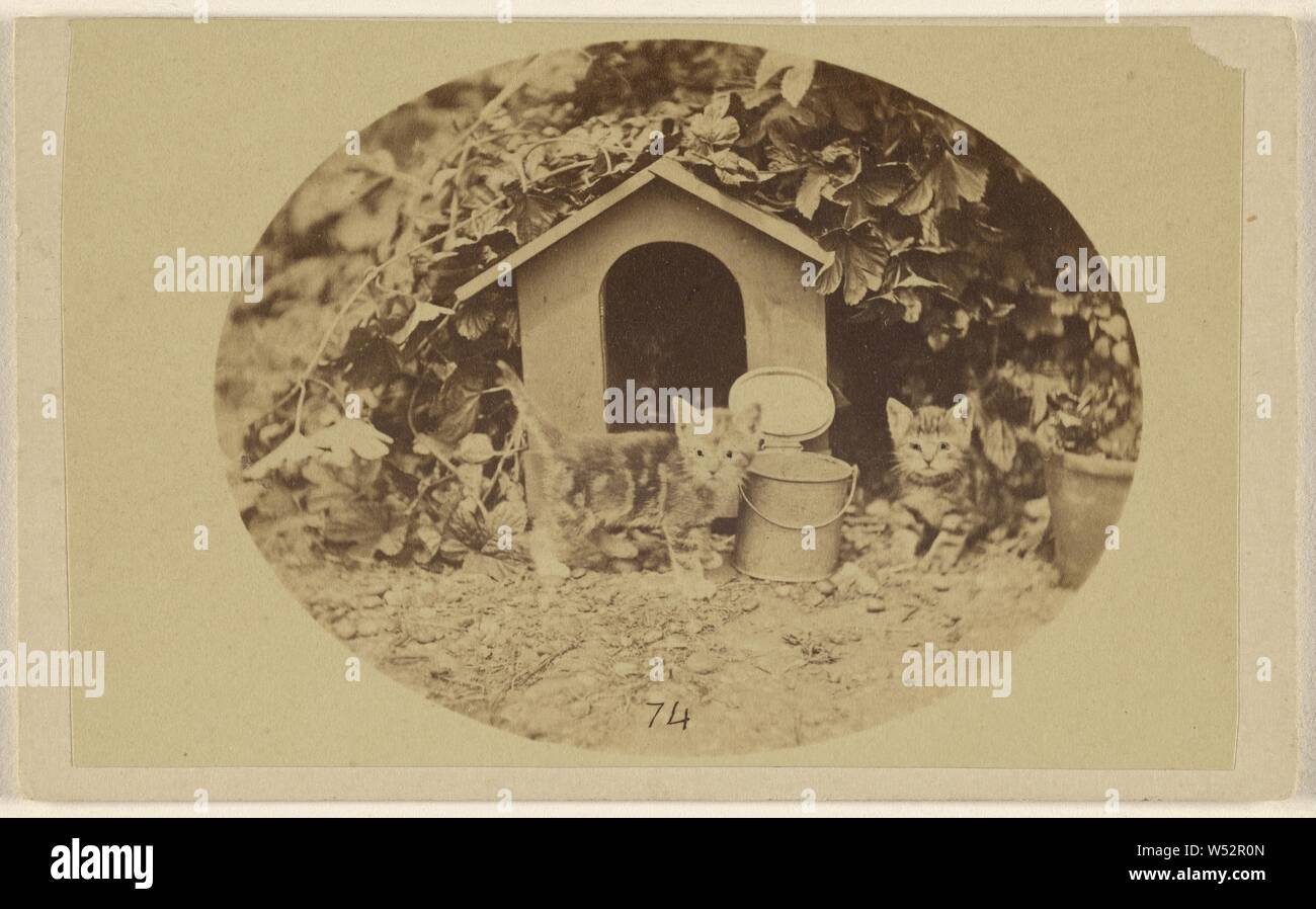Deux chatons près d'une petite maison et seaux, inconnu, vers 1865, à l'albumine argentique Banque D'Images