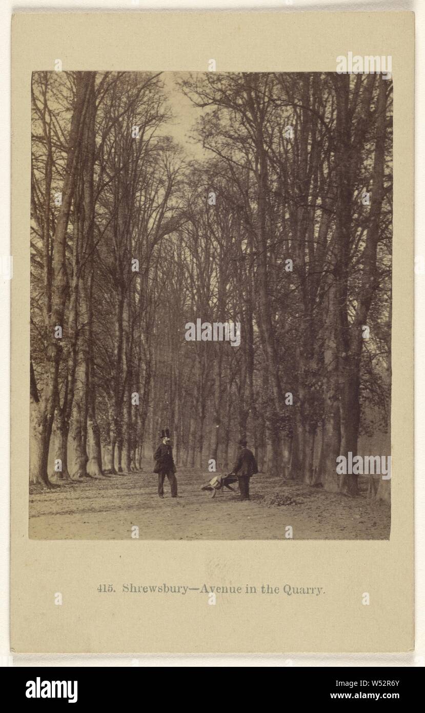 Shrewsbury - Avenue dans la carrière., Francis Bedford (anglais, 1815/1816 - 1894), 1864-1865, à l'albumine argentique Banque D'Images