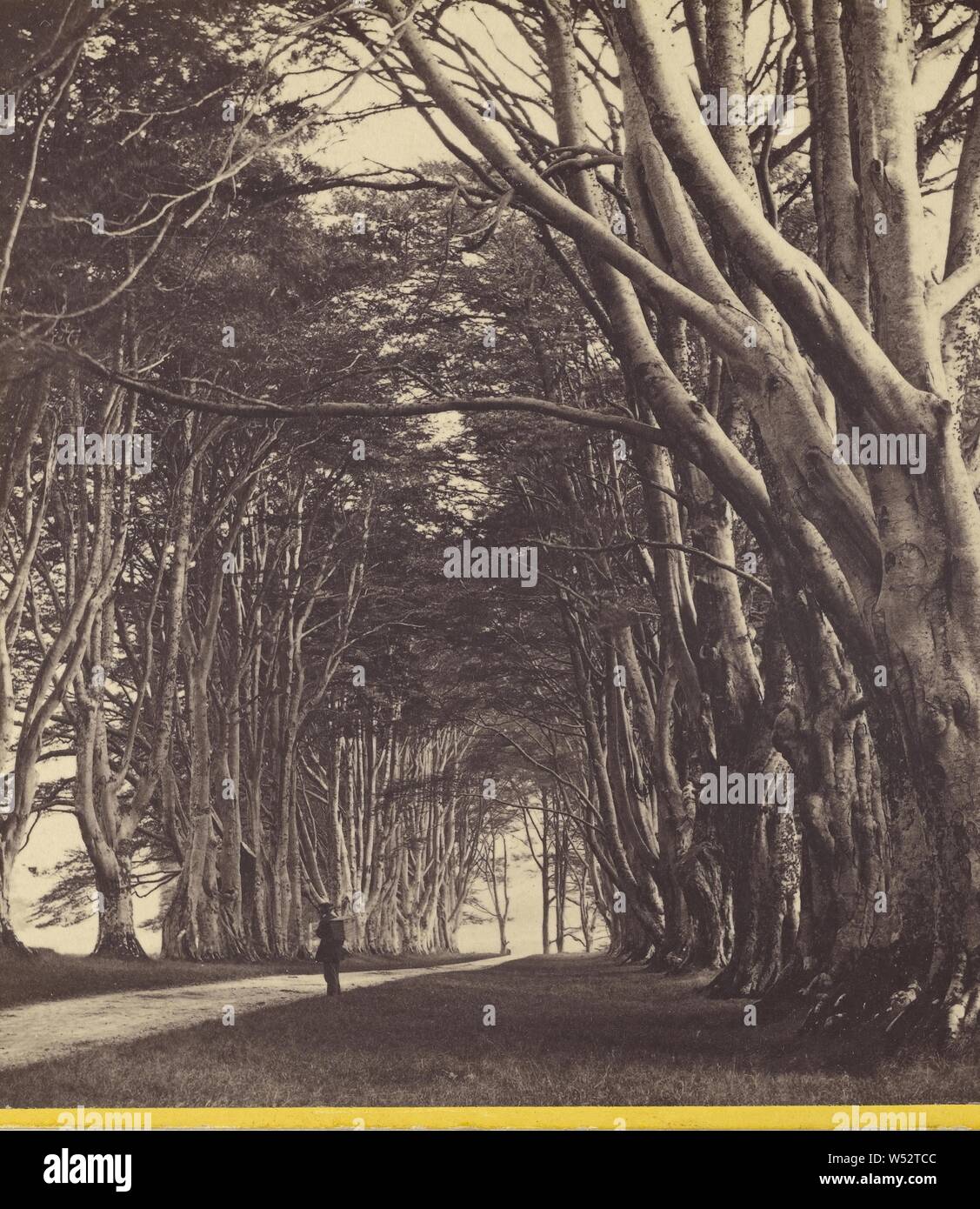 Le Loch Dhu Avenue, Inveraray, George Washington Wilson (Scottish, 1823 - 1893), vers 1865, à l'albumine argentique Banque D'Images