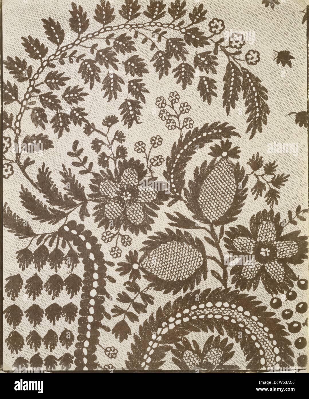 (Dentelle), William Henry Fox Talbot (anglais, 1800 - 1877), abbaye de Lacock, Angleterre, 1841-1846, sur papier salé imprimer à partir d'un dessin photogénique négatif, 22,7 × 18,7 cm (8 15/16 × 7 3/8 dans Banque D'Images