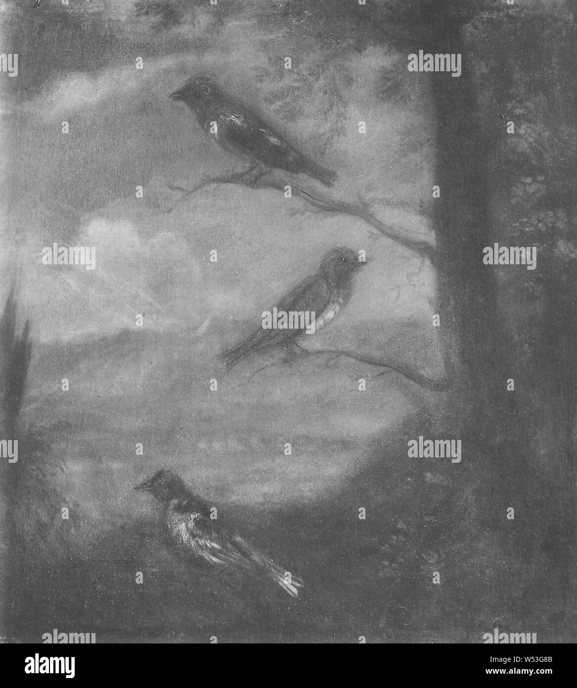 David Kock, trois petits oiseaux, peinture, huile sur toile, hauteur, 63 cm (24,8 po), largeur, 58 cm (22,8 pouces), signé, David Kock fecit Banque D'Images