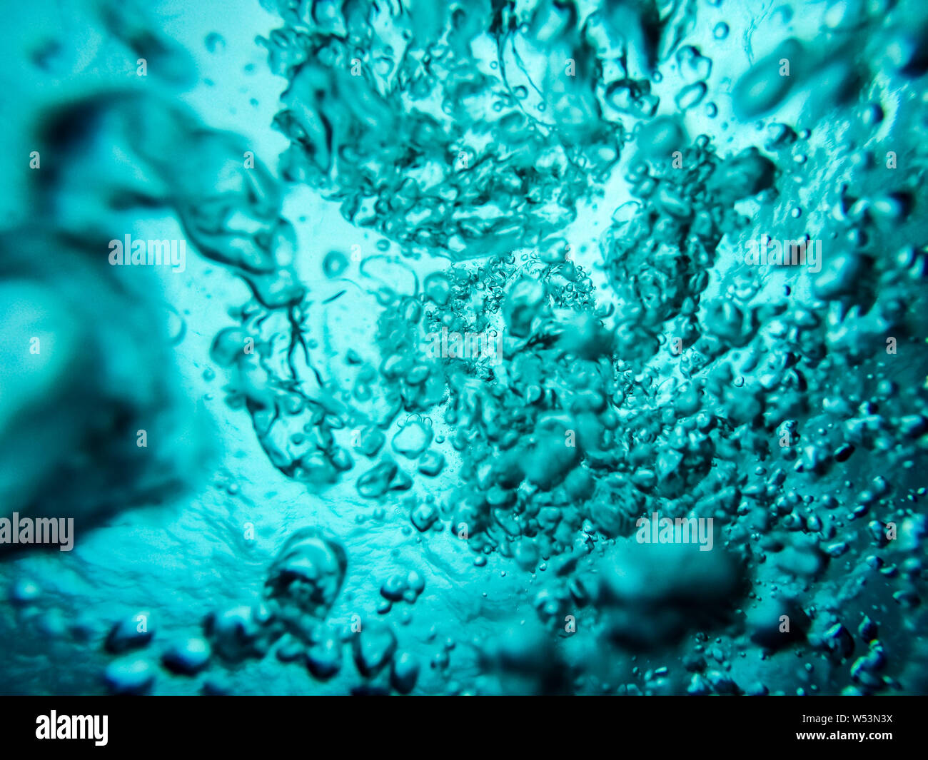 Plongée sous-marine tout en bulles à la recherche jusqu'à la surface de l'eau dans l'eau turquoise de la mer des Caraïbes Banque D'Images