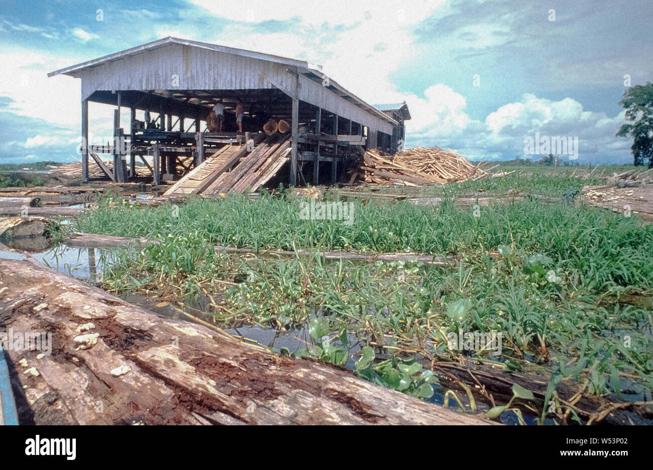 Brésil une scierie pour l'ébauche du bois dans l'Amazone. Les malles sont transformés transportés à Manhaus les attacher ensemble comme un immense radeau à l'aide de l'actuelle du fleuve et à partir de là, j'ai exporté avec un chargement d'un câble dans un '80 photo Banque D'Images