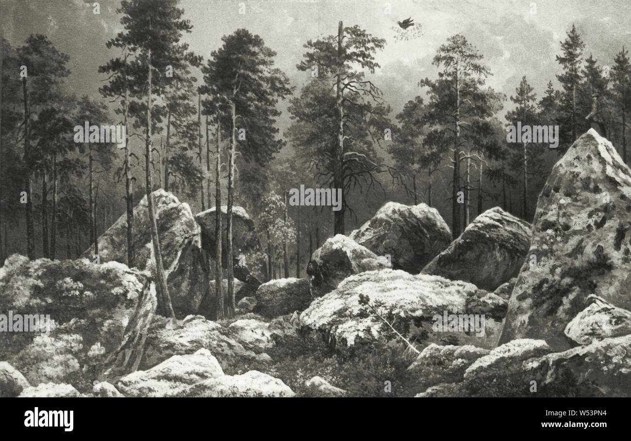 Winqvist Août, étude d'une forêt, à l'étude de la forêt, Hogdal Hogdal, peinture, huile sur papier monté sur panneau, hauteur, 35 cm (13,7 po), largeur, 55 cm (21,6 pouces), Påskrift Målladt, 1869 par FH o G S. Dans la forêt à Lars Persåsen près de Hogdal, à l'arrière Banque D'Images