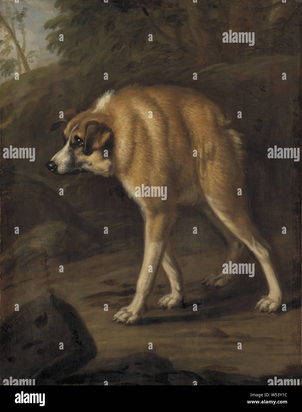 David Klöcker Ehrenstrahl, chien mal formé, peinture, 1690, huile sur toile, hauteur 105 cm (41,3 po), largeur, 81 cm (31,8 pouces), Inscription, N, 143, à l'arrière, signé, Vulpis et canis descendances, D. Books Ehrenstrahl pinxit 1690 ad vivum, sur une pierre à la gauche Banque D'Images