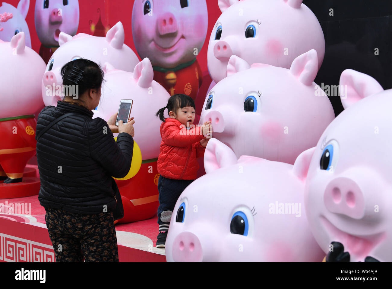 Les citoyens prennent des photos avec des sculptures de porcs pour célébrer la fête du printemps ou le Nouvel An Chinois (année du cochon) sur l'affichage sur une rue à Nanning Banque D'Images