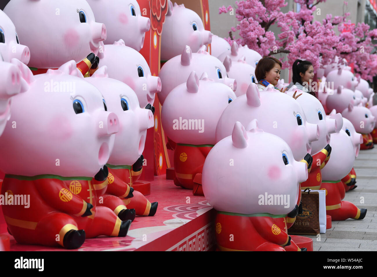 Les citoyens prennent des photos avec des sculptures de porcs pour célébrer la fête du printemps ou le Nouvel An Chinois (année du cochon) sur l'affichage sur une rue à Nanning Banque D'Images