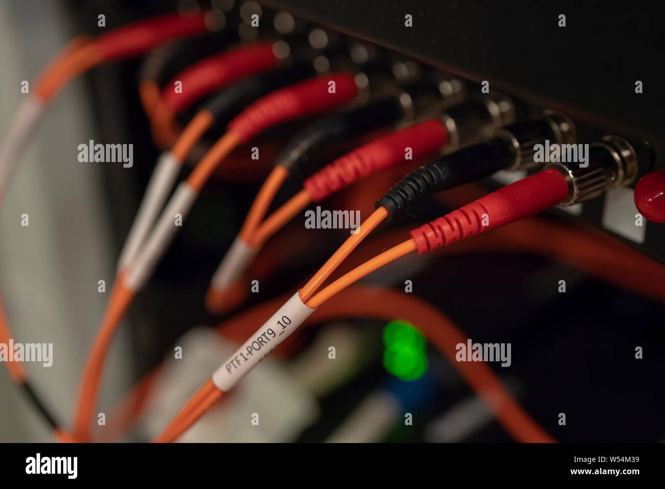 Panneau de distribution optique avec câble cordon patch connecté Banque D'Images