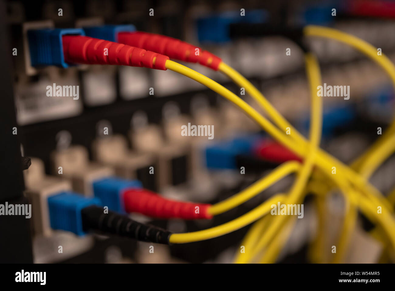 Panneau de distribution optique avec câble cordon patch connecté Banque D'Images