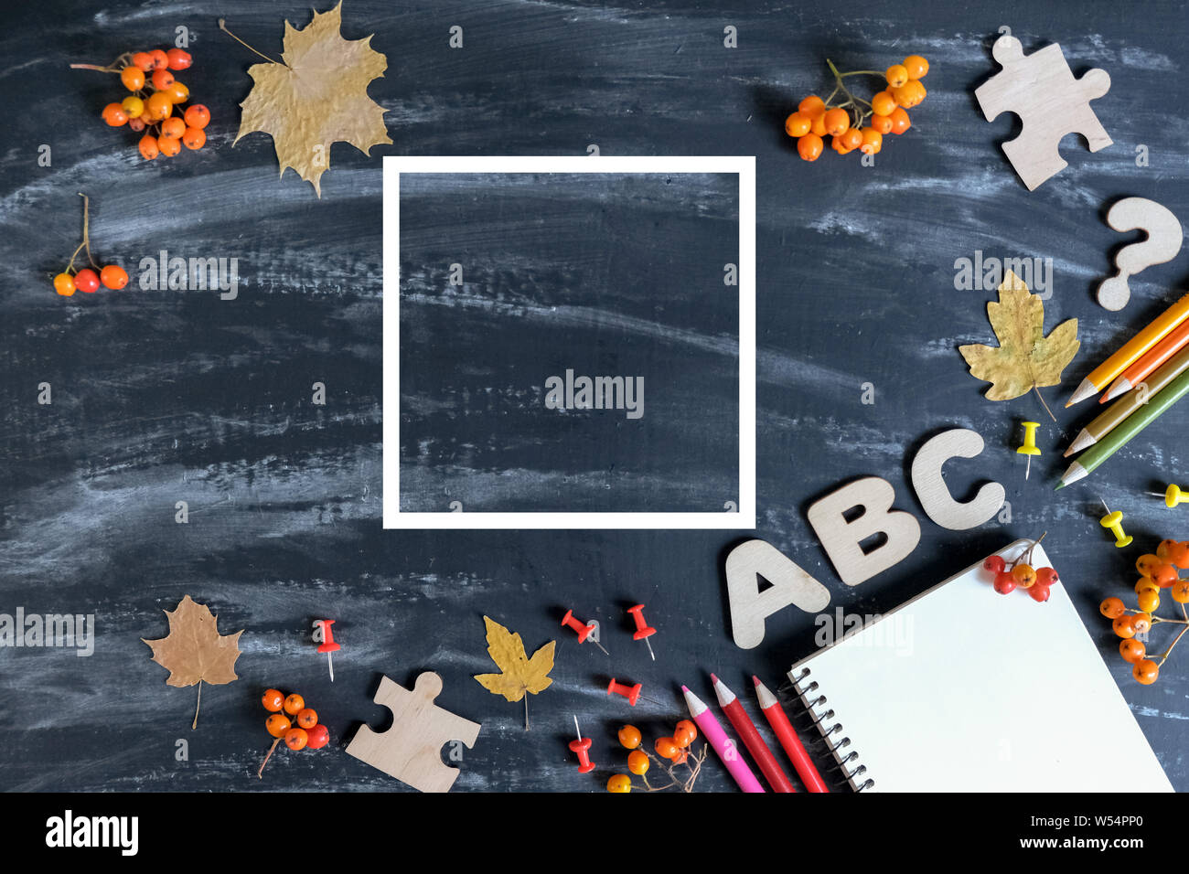 L'équipement des écoles avec des crayons de couleur, ordinateur portable, les feuilles d'érable, les fournitures de bureau et cadre blanc sur noir tableau arrière-plan. Concept Retour à l'école. Banque D'Images