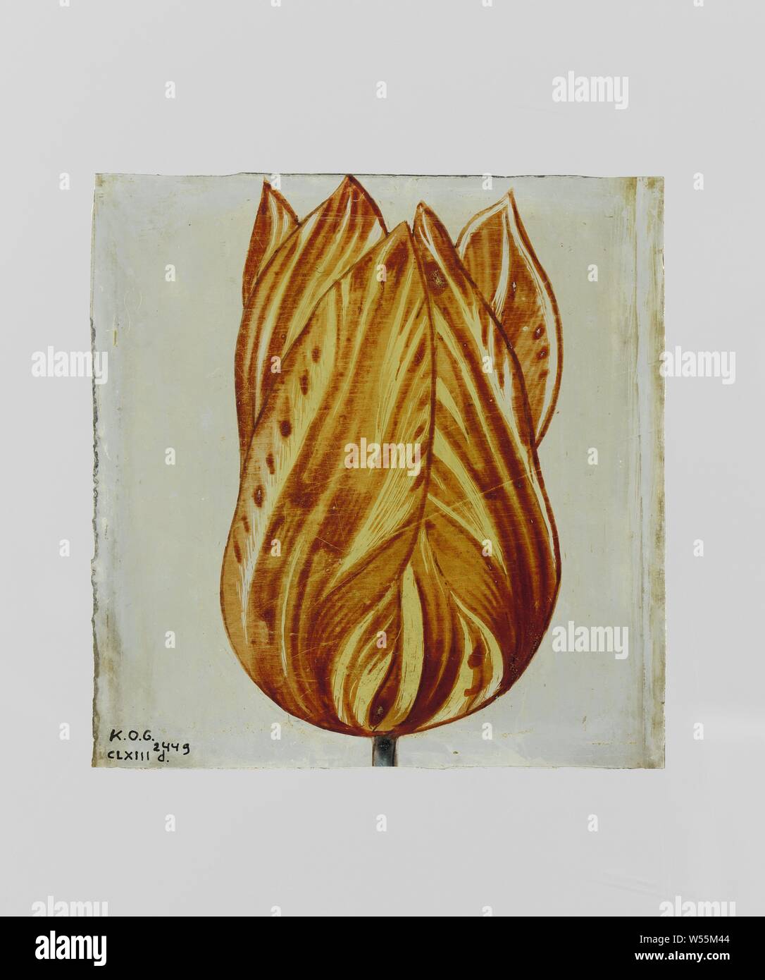 Rhombus avec tulip, Rhombus avec peinture émail d'une tulipe dans principalement jaune et rouge. (Militaire) uniformes (citoyens soldats, la garde civile, la milice citoyenne), Amsterdam, Genootschap Tot nut der Schutterij, anonyme, 1550 - 1600, verre, tache argentée, H 8,7 cm × w 8,4 cm Banque D'Images