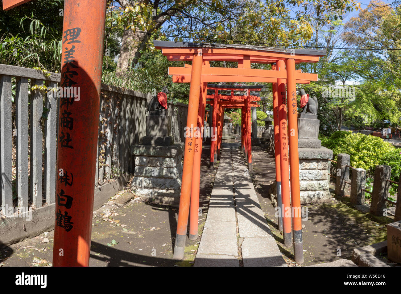 Torii gates au Sanctuaire Nezu dans quartier Bunkyo, Tokyo, Japon. Banque D'Images