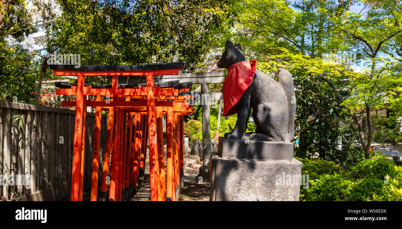 Torii gates au Sanctuaire Nezu dans quartier Bunkyo, Tokyo, Japon. Banque D'Images