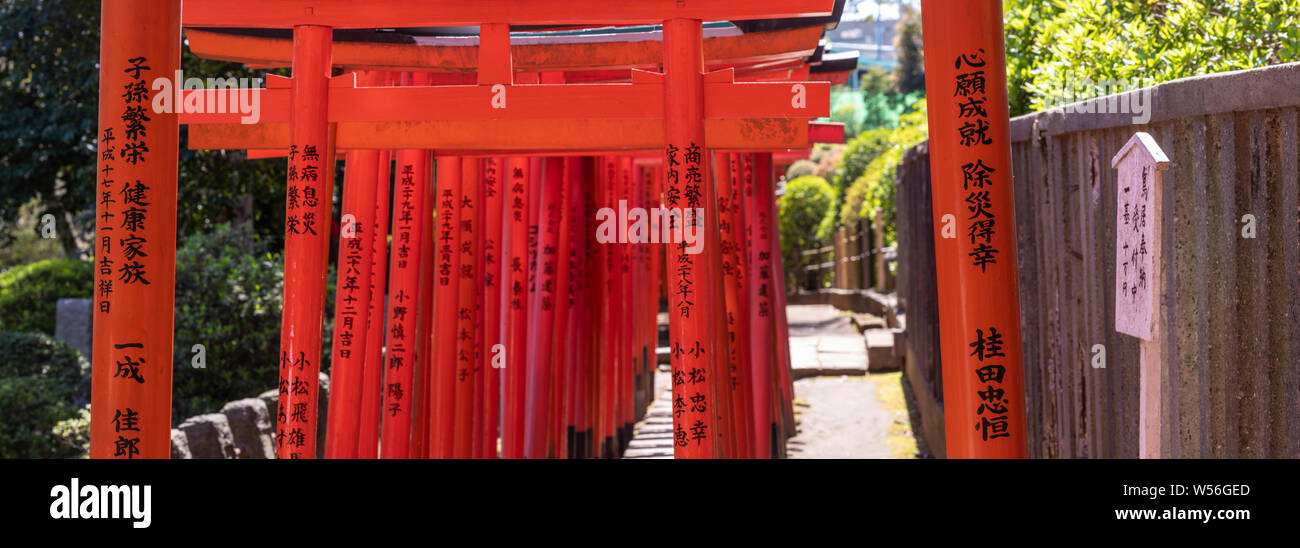 Torii gates au Sanctuaire Nezu dans quartier Bunkyo, Tokyo, Japon. Banque D'Images