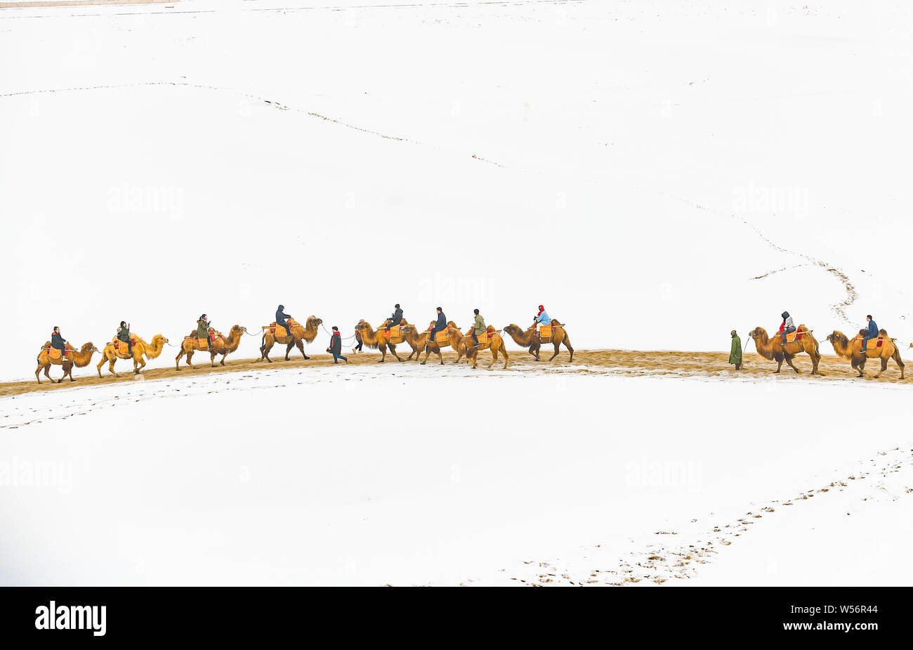 Les touristes monter des chameaux dans le désert de Gobi dans le Croissant de lune (Yueyaquan) et le chant des montagnes de sable au cours de l'endroit pittoresque Chine Banque D'Images
