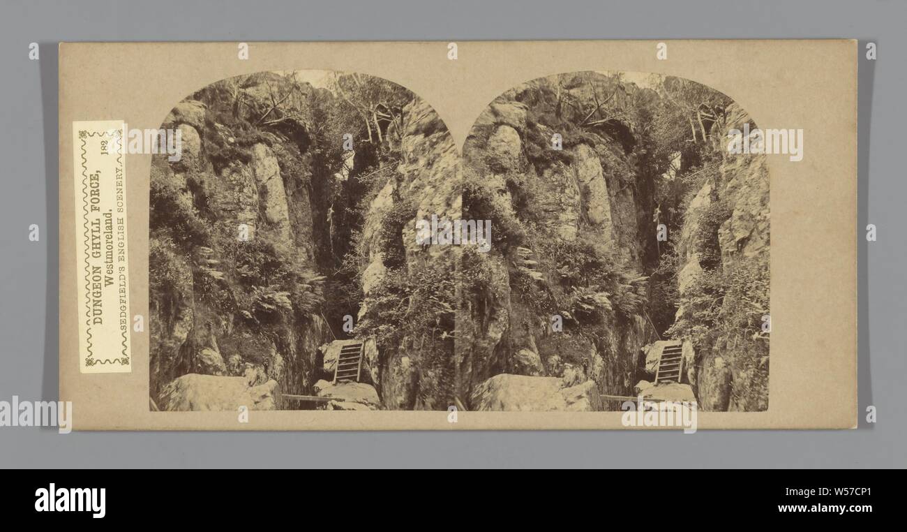 Vue sur le donjon Ghyll Force à Elterwater, Dungeon Ghyll Force, Westmoreland. (Titre sur l'objet), Cascade, ravin, gouffre, abîme, canyon, Elterwater, William Russell Sedgfield (mentionné sur l'objet), ch. 1850 - c. 1880, carton, papier photographique, à l'albumine, h 85 mm × W 170 mm Banque D'Images