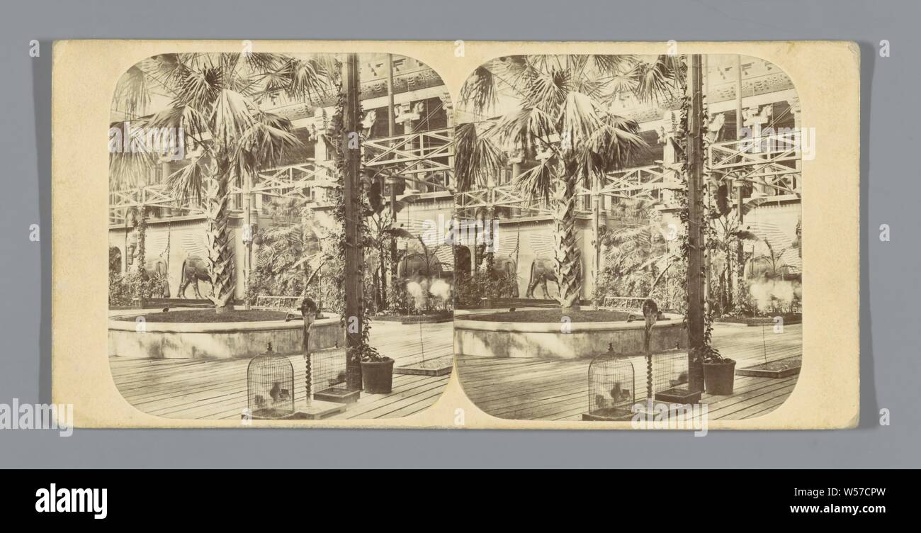 Ninive Cour à la Crystal Palace de Londres, le Palais de Cristal. Le Grand Palm, et Ninive, Ministère de la cour tropicale (titre sur l'objet), arbres : palmier, Crystal Palace, Londres La société stéréoscopique (attribué à), ch. 1854 - c. 1859, carton, papier photographique, à l'albumine, h 85 mm × W 170 mm Banque D'Images