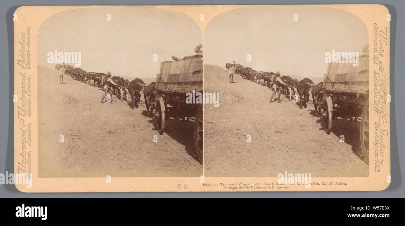 L'obtention d'un wagon de transport de la rive nord de la Modder, le 13 février, S. Africa, Underwood et Underwood, 1900 Banque D'Images