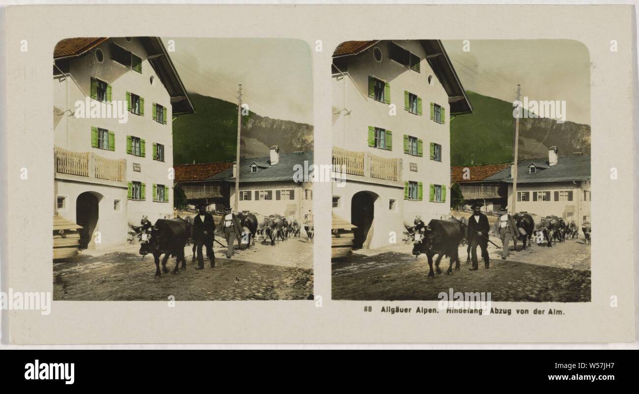 Deutschland. Allgau Alpes. Hindelang. Abzug von der Alm, anonyme, 1900 - 1940 Banque D'Images
