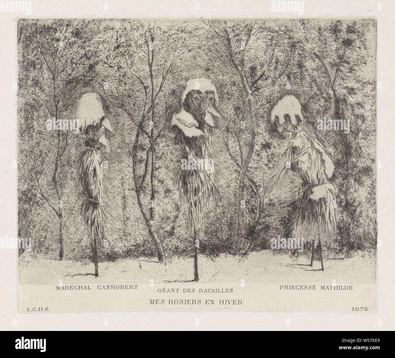 Composition de la Fantasy guerre franco-allemande Mes rosiers et hiver (titre sur l'objet), trois contre le froid glacial rosiers tiges, couverte de neige, couvert de neige. Les légendes identifier les rosiers avec les chiffres de la guerre franco-allemande : François Certain Canrobert et Mathilde Bonaparte, fleurs : rose, la protection contre les dommages et la perte, de l'agriculture, Mathilde Laetitia Bonaparte Wilhelmine, François Certain Canrobert, Louis Charles Hora Siccama (mentionné sur l'objet), 1876, papier, pointe sèche, h 147 mm × W 180 mm Banque D'Images