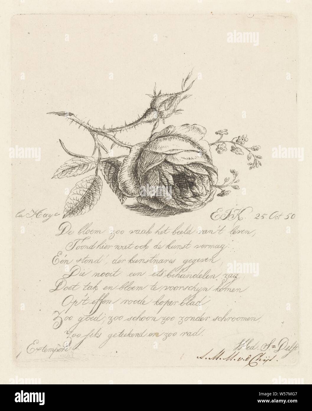 Une rose et myosotis, étude d'un coupé avec une fleur rose et d'un bourgeon, et forget-me-nots. L'image ci-dessous est un verset huit lignes, des fleurs, des fleurs : rose, Elisabeth Johanna Koning (mentionné sur l'objet), La Haye, 1850, papier, gravure, h 143 mm × W 116 mm Banque D'Images