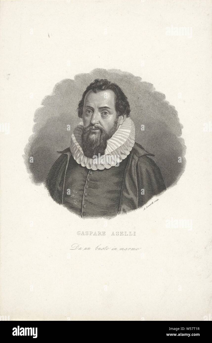 Portrait du docteur Gaspare Aselli, historique, médecin, médecin, Gaspare Aselli, Antonio Locatelli (mentionné sur l'objet), l'Italie, 1800 - 1899, papier, gravure, h 245 mm × W 164 mm Banque D'Images