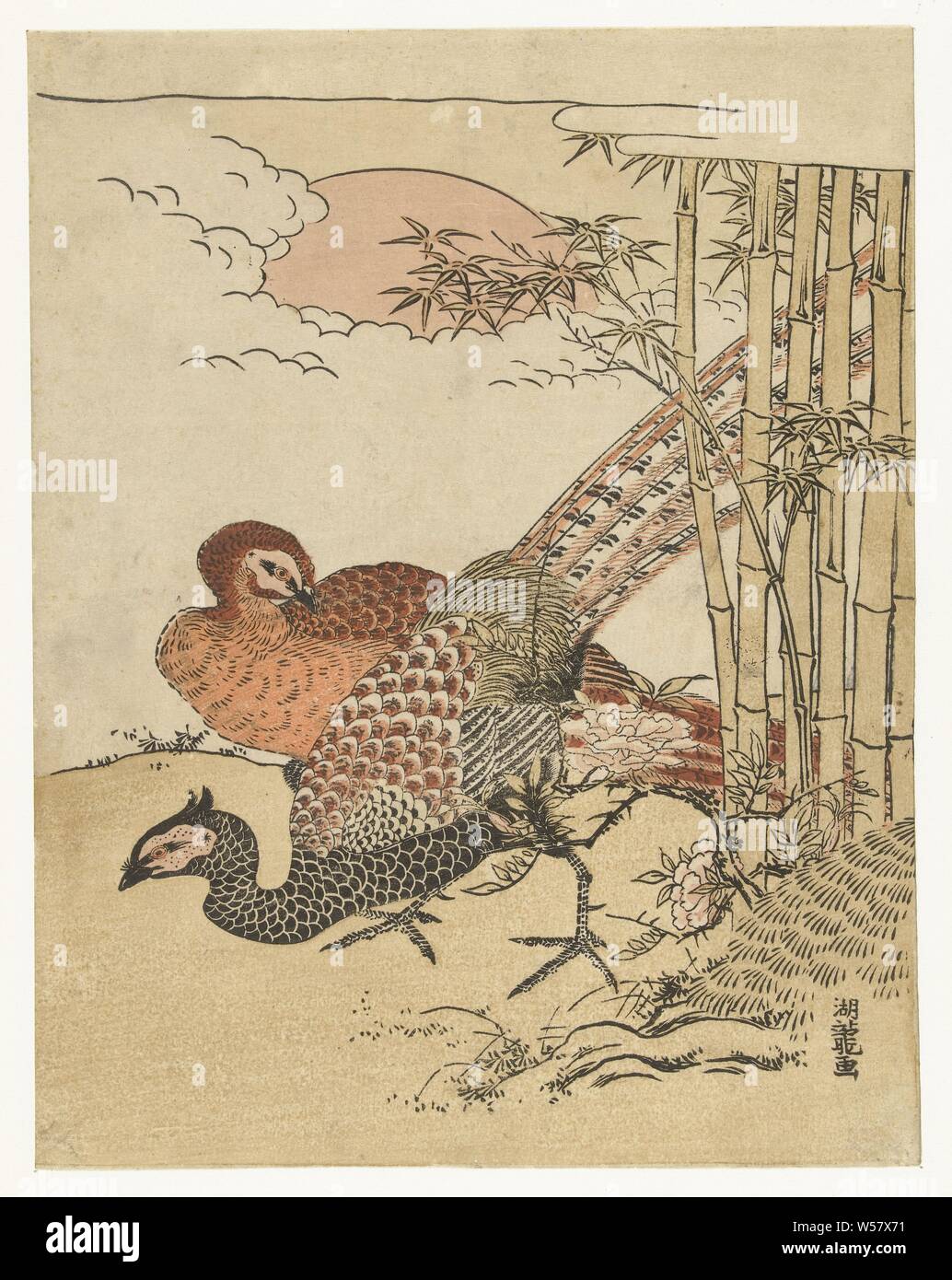 Couple de faisan avec le bambou et le soleil levant, Isoda Kôryûsai (mentionné sur l'objet), Japon, 1770 - 1780, gravure sur bois, papier couleur, h 244 mm × W 189 mm Banque D'Images