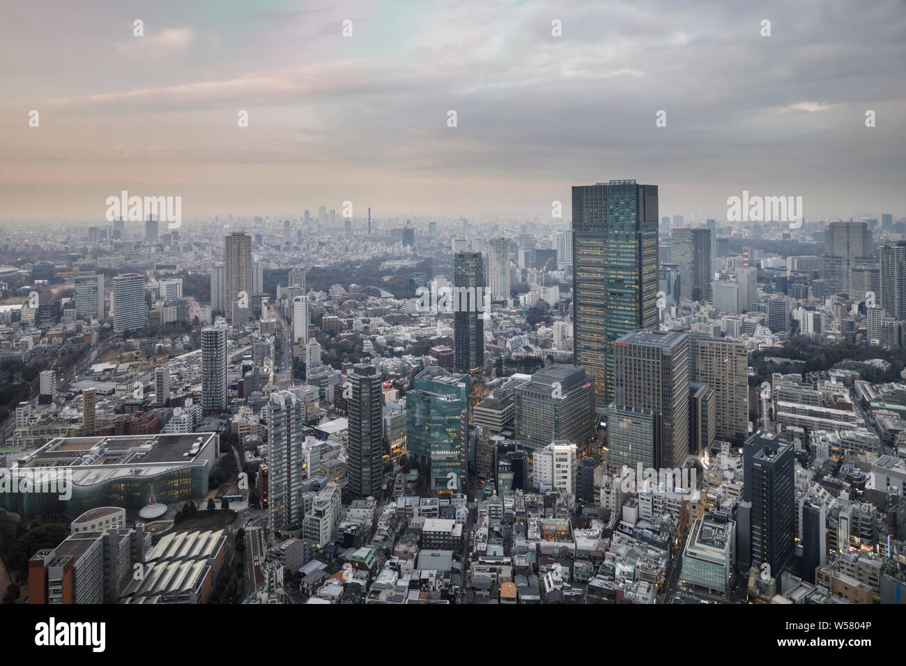 Les toits de Tokyo avec les immeubles de grande hauteur de Shibuya au loin. Banque D'Images