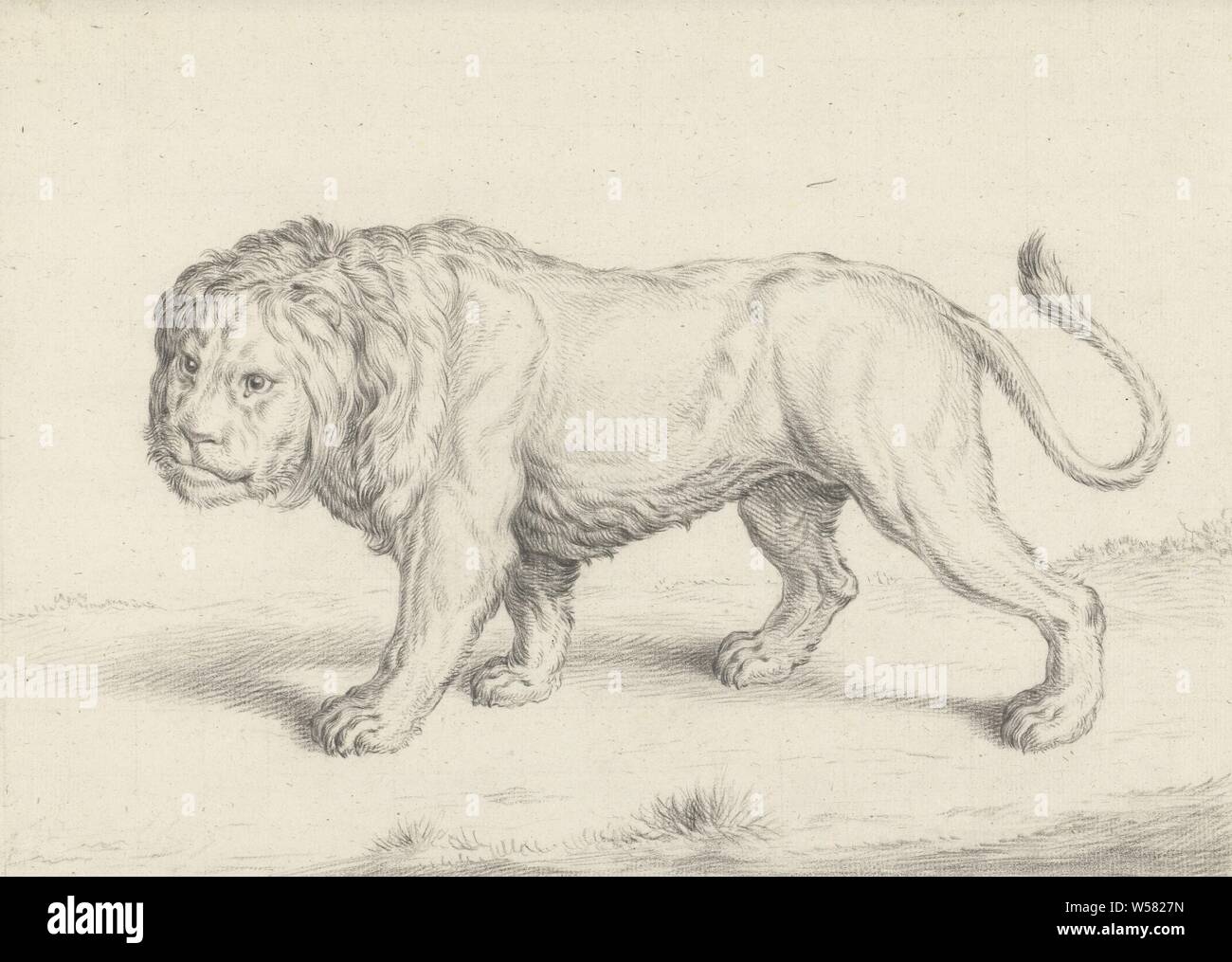Balade lion, à gauche, des bêtes de proie, les animaux prédateurs : lion, Jean Bernard, 1775 - 1833, papier, crayon, craie, h 260 mm × W 361 mm Banque D'Images