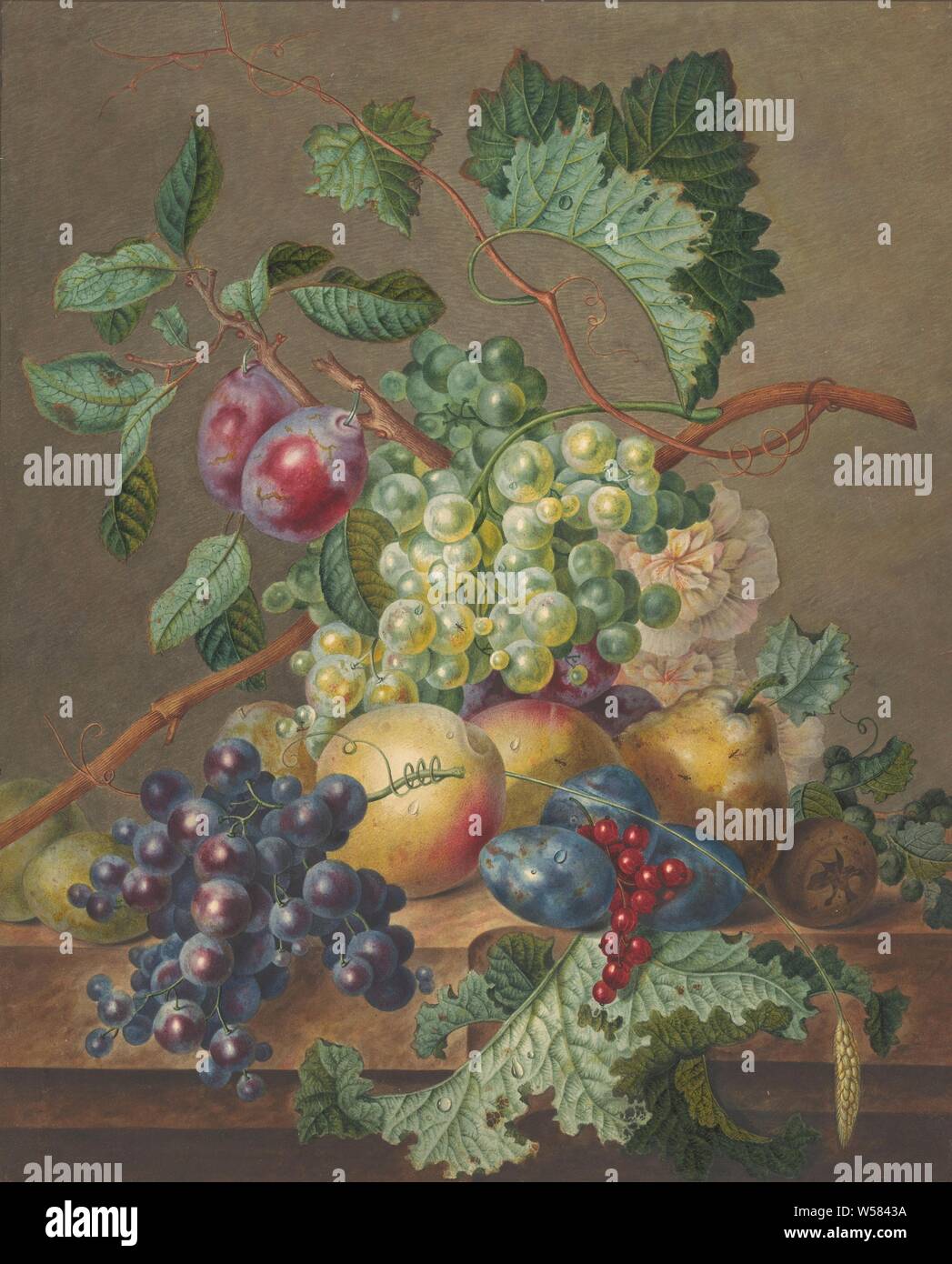 Nature morte avec fruits, toujours la vie des plantes, fleurs et fruits, fruits, Jan de Bruyn, 1700 - 1800, le papier, l'aquarelle (peinture), pinceau, h 439 mm × W 358 mm Banque D'Images